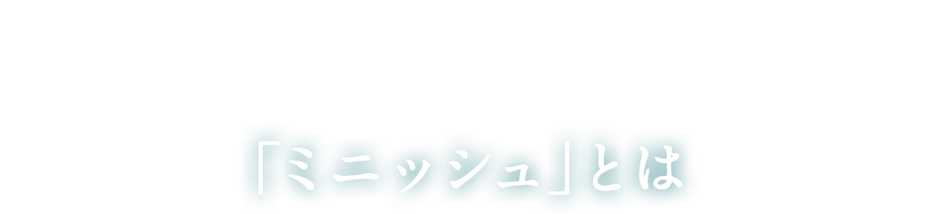 ミニッシュとは